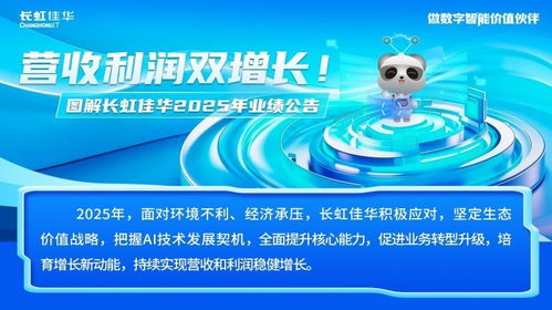 長虹佳華2025科技服務(wù)能力全面升級(jí)，AI產(chǎn)品與服務(wù)收入勁增47%